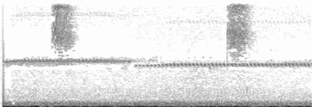 kolibřík sluneční - ML63425811