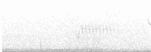 Cassin Çütresi - ML63431031