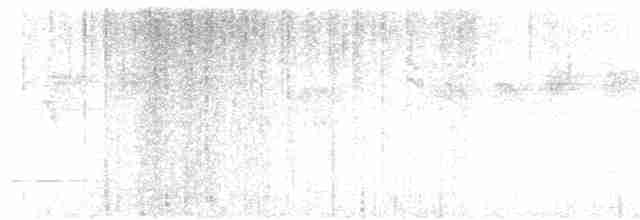  - Spot-throated Flameback