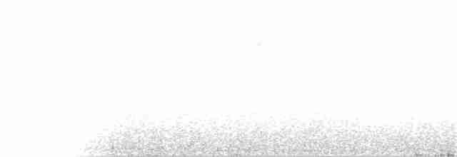 White-bellied Redstart - ML63456211