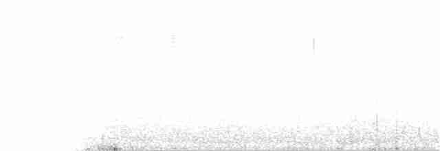 White-bellied Redstart - ML63456221