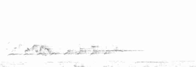 Орел-чубань індійський (підвид cirrhatus/ceylanensis) - ML63467121