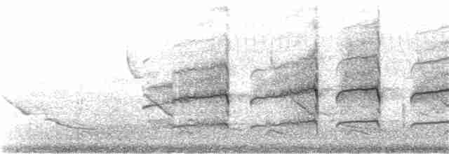 Підсоколик малий (підвид columbarius) - ML63496701