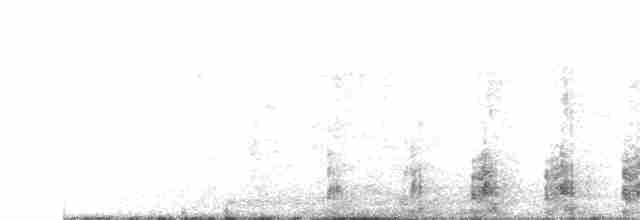 svartvingealbatross/kongealbatross - ML63501261