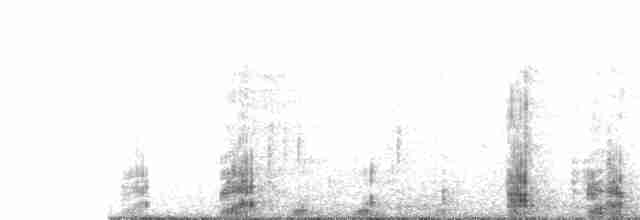 svartvingealbatross/kongealbatross - ML63501281