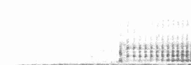 svartvingealbatross/kongealbatross - ML63501291