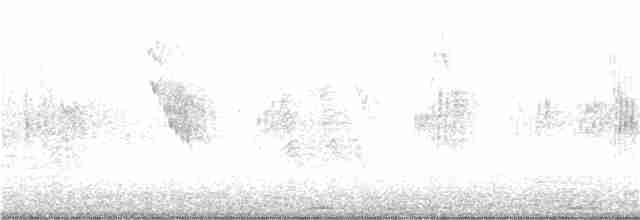 ニシイワツバメ（urbicum／meridionale） - ML63509901