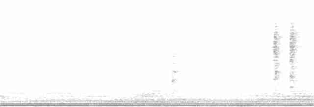 White-cheeked Honeyeater - ML63536691
