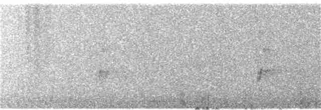 Гагара полярна - ML63544061