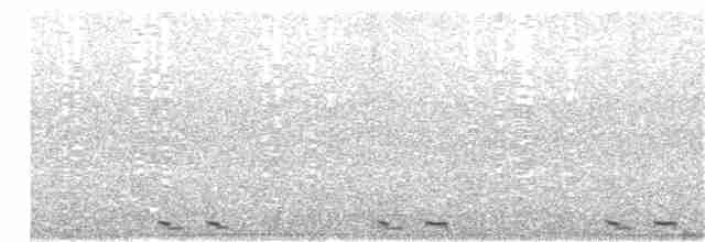 Black-billed Cuckoo - ML63561041