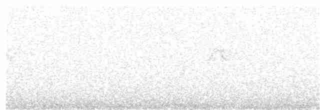 Solitary Tinamou - ML63565251