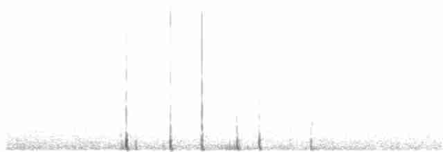 Perlenkehl-Ameisenschlüpfer - ML63595461