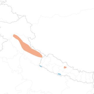 Distribution of the West Himalayan Bush Warbler - Range Map
