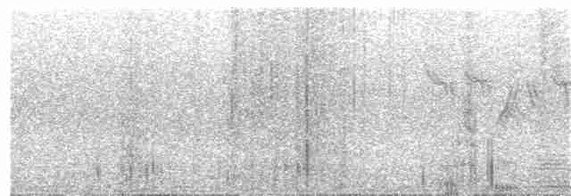 Гаїчка-пухляк звичайна [група montanus] - ML63666051
