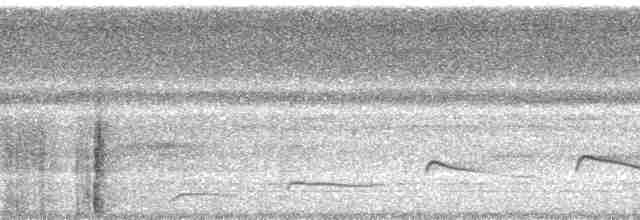 Желтоклювый кракс - ML63679