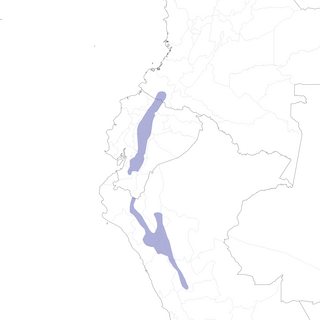 Distribution of the Curve-billed Tinamou - Range Map
