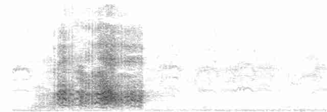 Ara hyacinthe - ML63751921