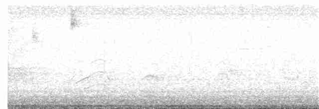 Кайеннский чибис - ML63805111