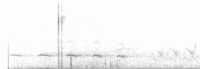Olivgrau-Ameisenvogel - ML63908881