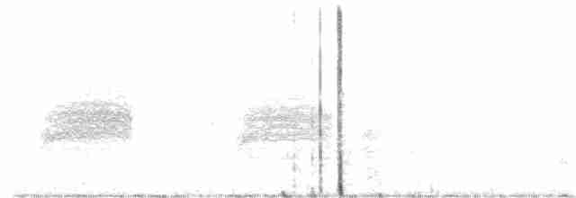 Loggerhead Shrike - ML63914061