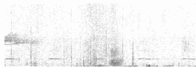 Сичик-горобець гірський (підвид gnoma) - ML63920101