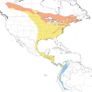Distribution of the Canada Warbler - Range Map