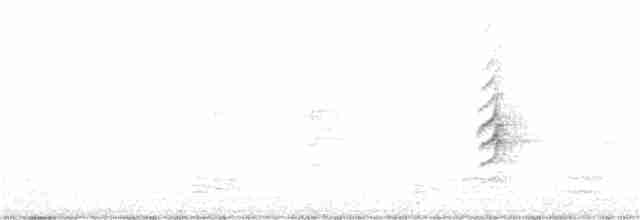 白胸燕鵙 - ML63971911