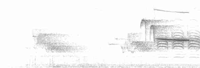 Черношапочная гаичка - ML64015821