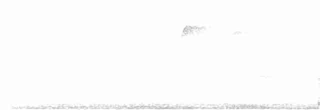 Common Yellowthroat - ML64016081