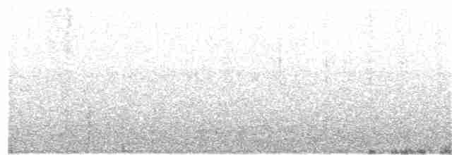Червоїд рудогузий - ML64028301