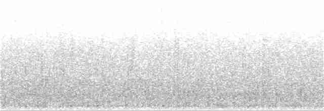 Gray-flanked Cinclodes - ML64031891
