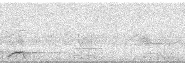 Чачалака рудогуза (підвид ruficauda) - ML64060