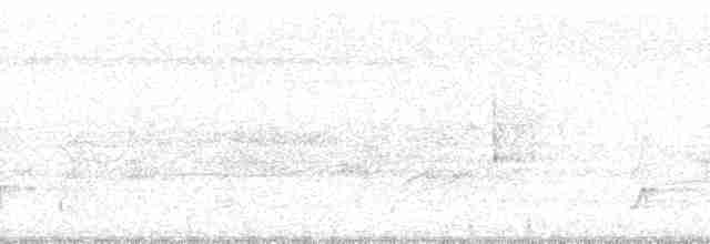 Crested Bobwhite (Crested) - ML64099