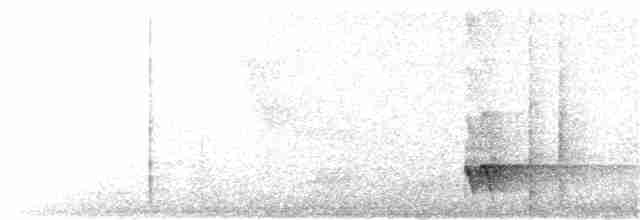 Tepeli Karıncakuşu - ML64196731