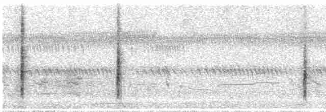 Australian Reed Warbler - ML64248961