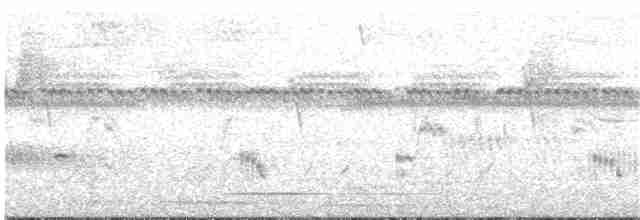 Gray Tinamou - ML64283631