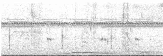 holub neotropický - ML64283641
