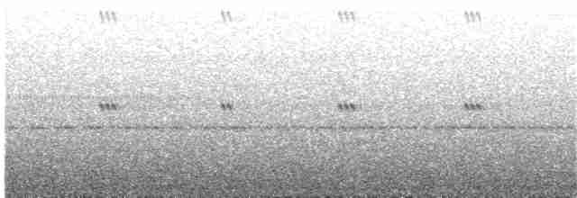 Lyre-tailed Nightjar - ML64284141