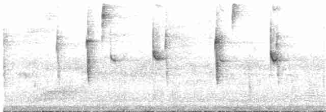 kolibřík ametystouchý - ML64286591