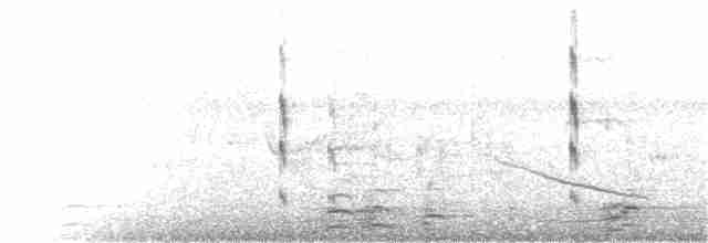 Common Tern - ML64289131