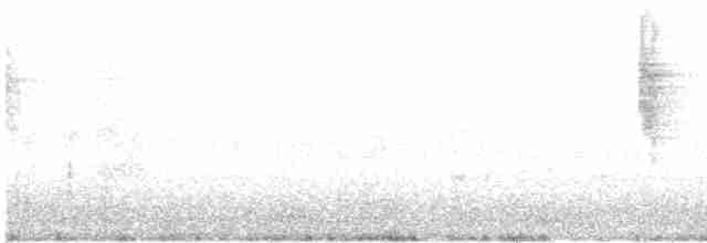 Краснохвостый колибри-отшельник - ML64311231
