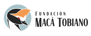 Fundación Macá Tobiano