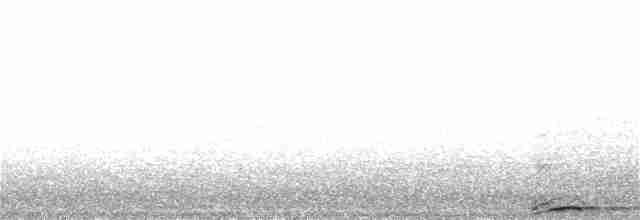 Chouette rayée - ML64340111