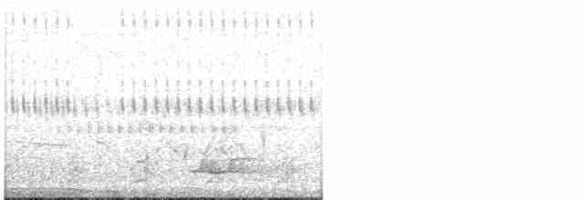Tinamou à calotte noire - ML64358981
