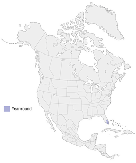 Figure 1. Distribution of the Gray-headed Swamphen in North America. - Range Map
