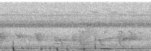 白喉林鴿 - ML64485