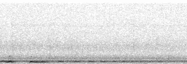 白喉林鴿 - ML64514