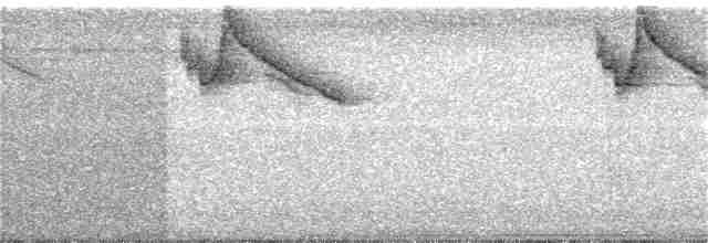 White-naped Brushfinch - ML64666081