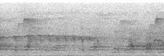 Nordamazonien-Ameisenschnäpper - ML64704