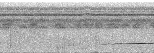 Полосатая пуховка (torridus) - ML64784